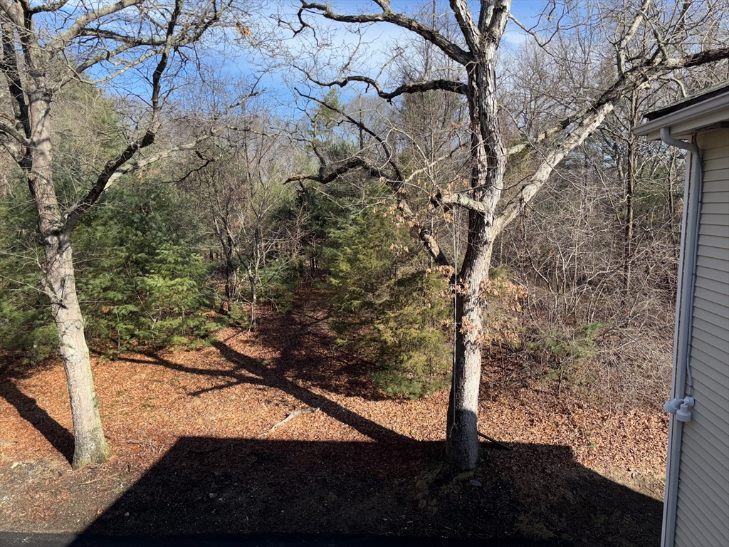 171 Ware St, Mansfield