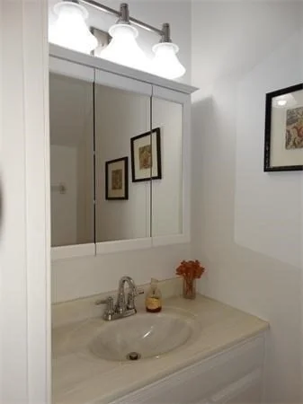 1203 Windsor, Framingham