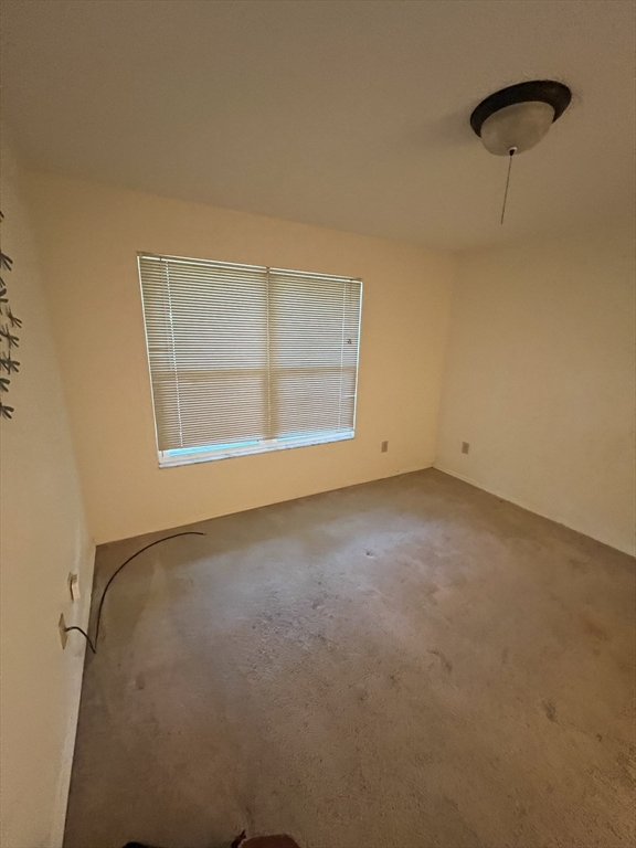 1401 Palmetto, Daytona Beach