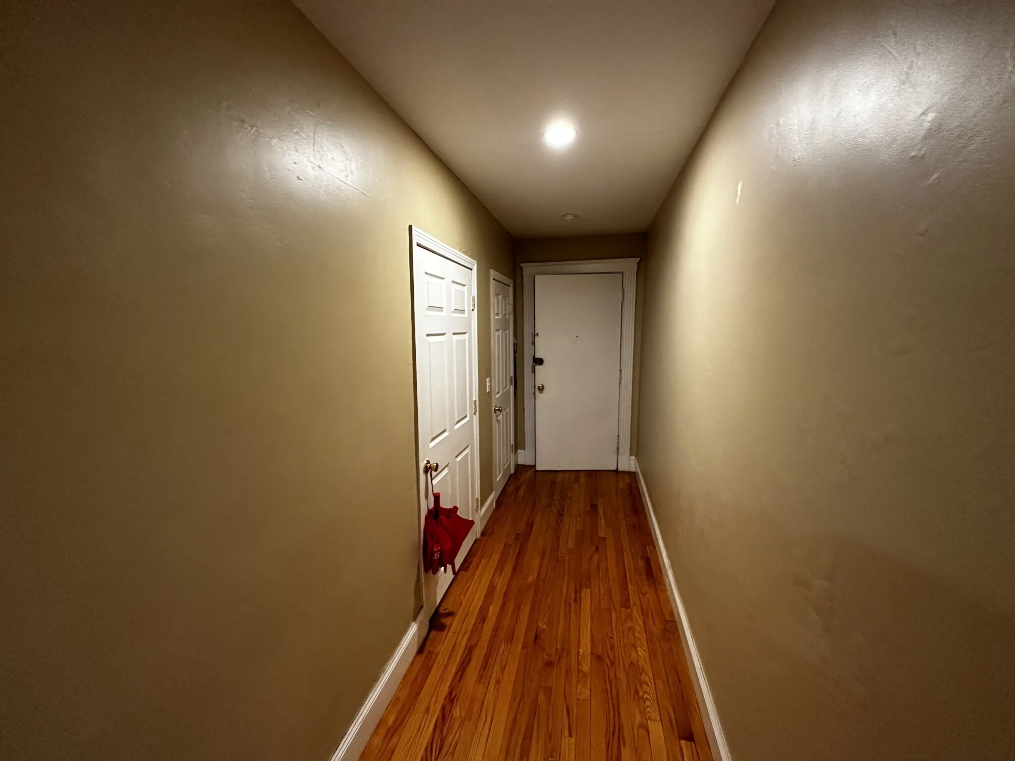 60 Egmont St, North Brookline