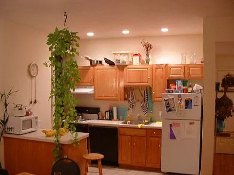 3 bed, 1 bath apartment for rent at 59 Commonwealth Ave Unit 2, Back Bay — photo 3 of 3