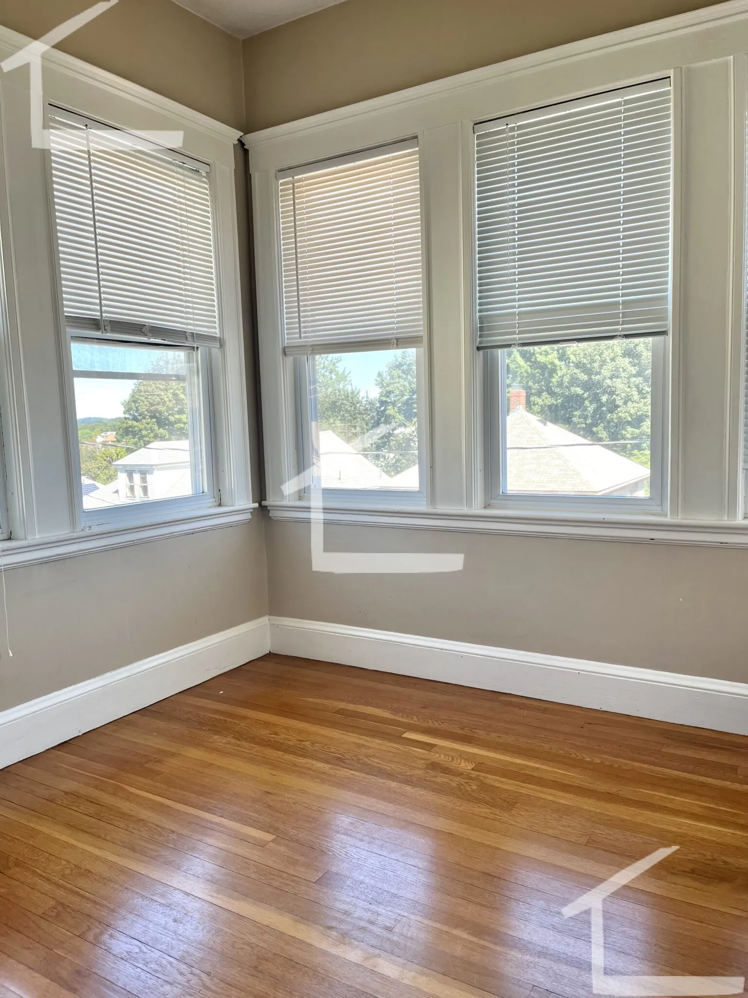 41 North Crescent Circuit, Brighton