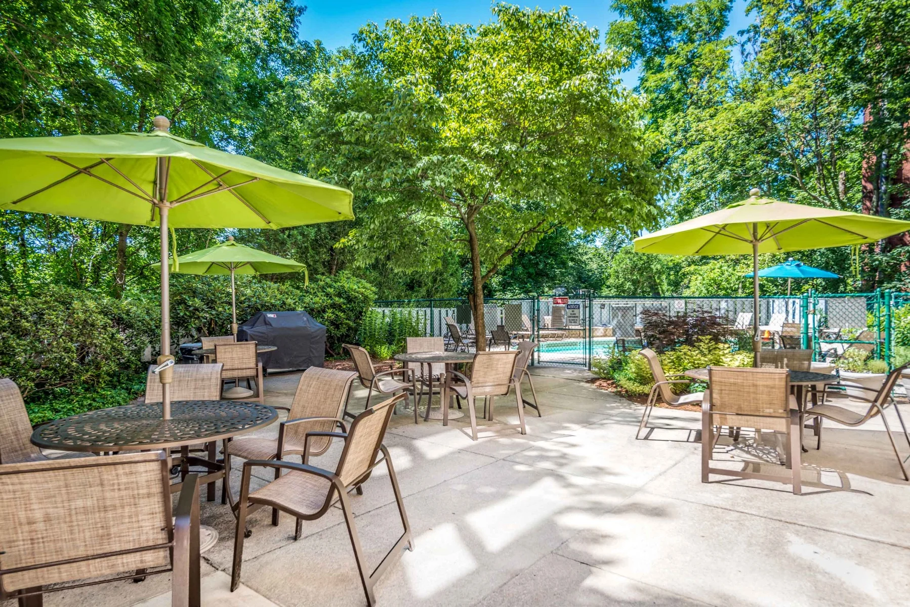 1443 Beacon St, Coolidge Corner