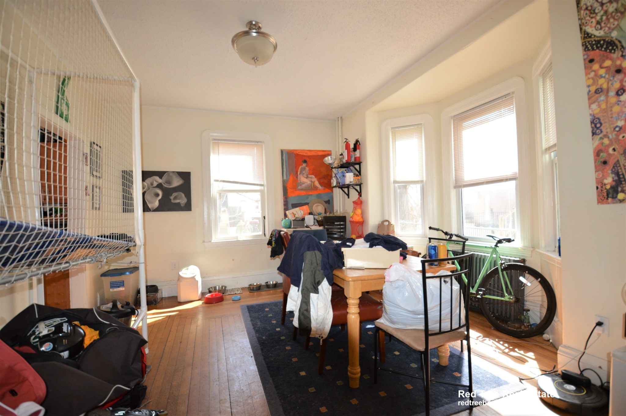 5 Murdock Ter, Brighton