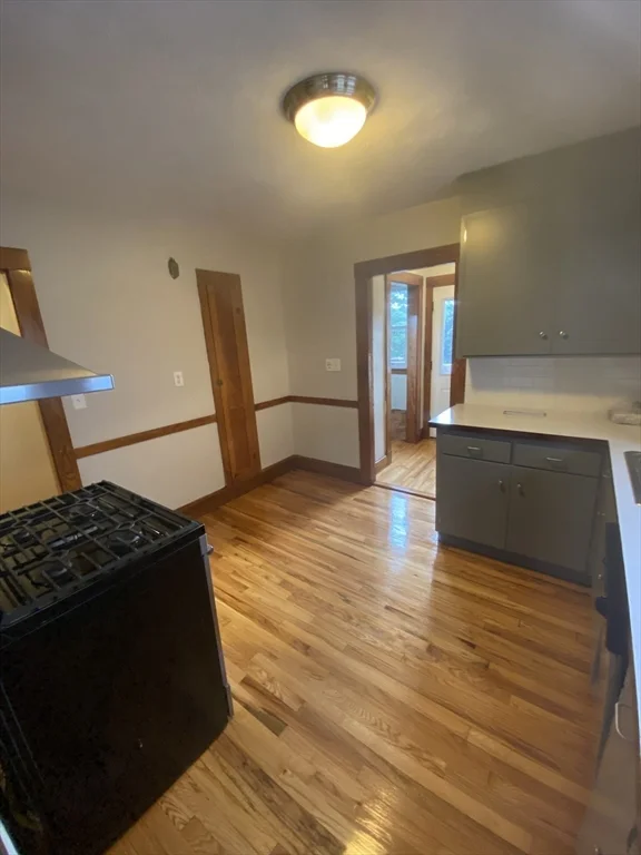 77 Walk Hill St, Jamaica Plain