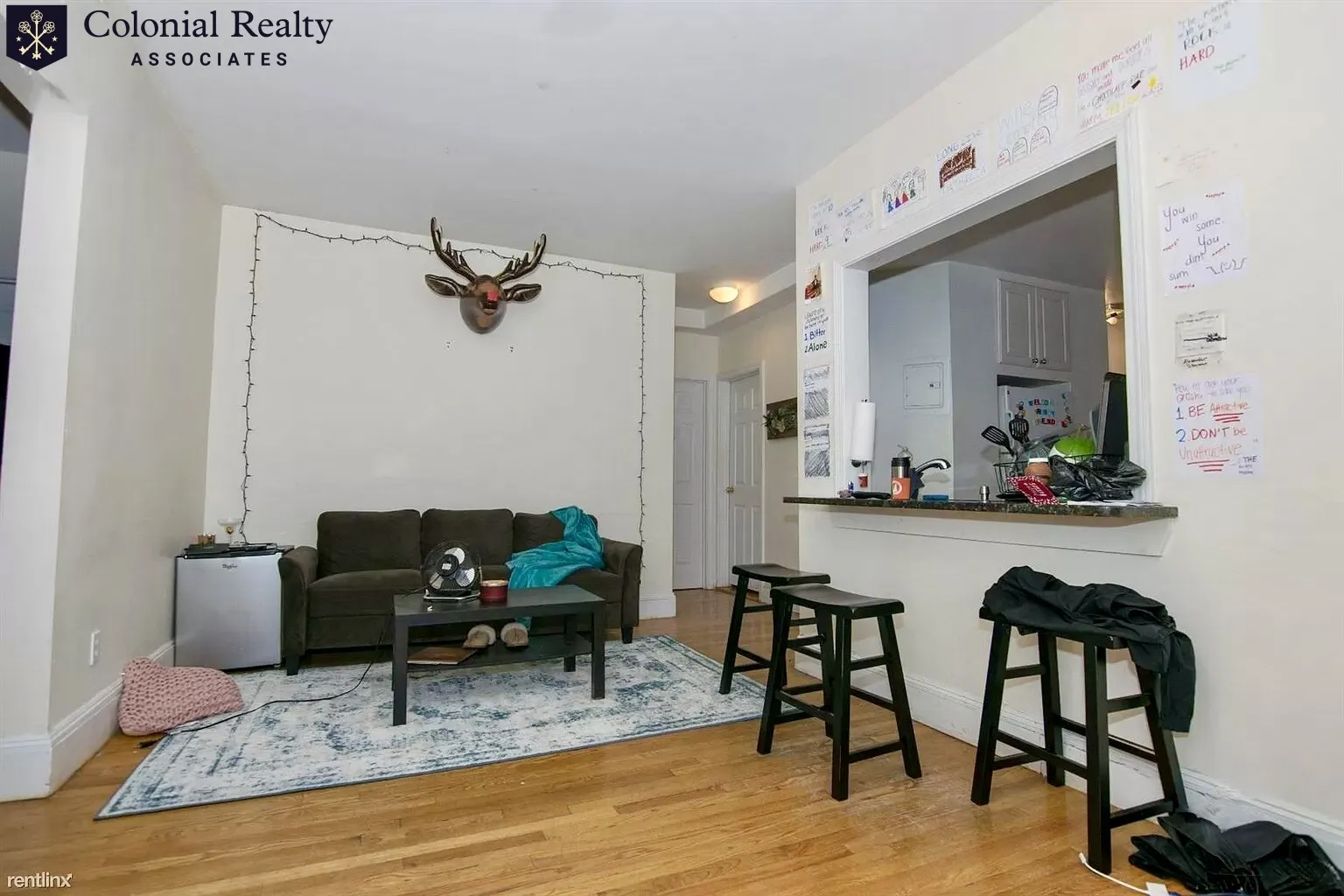 62 Egmont St, North Brookline