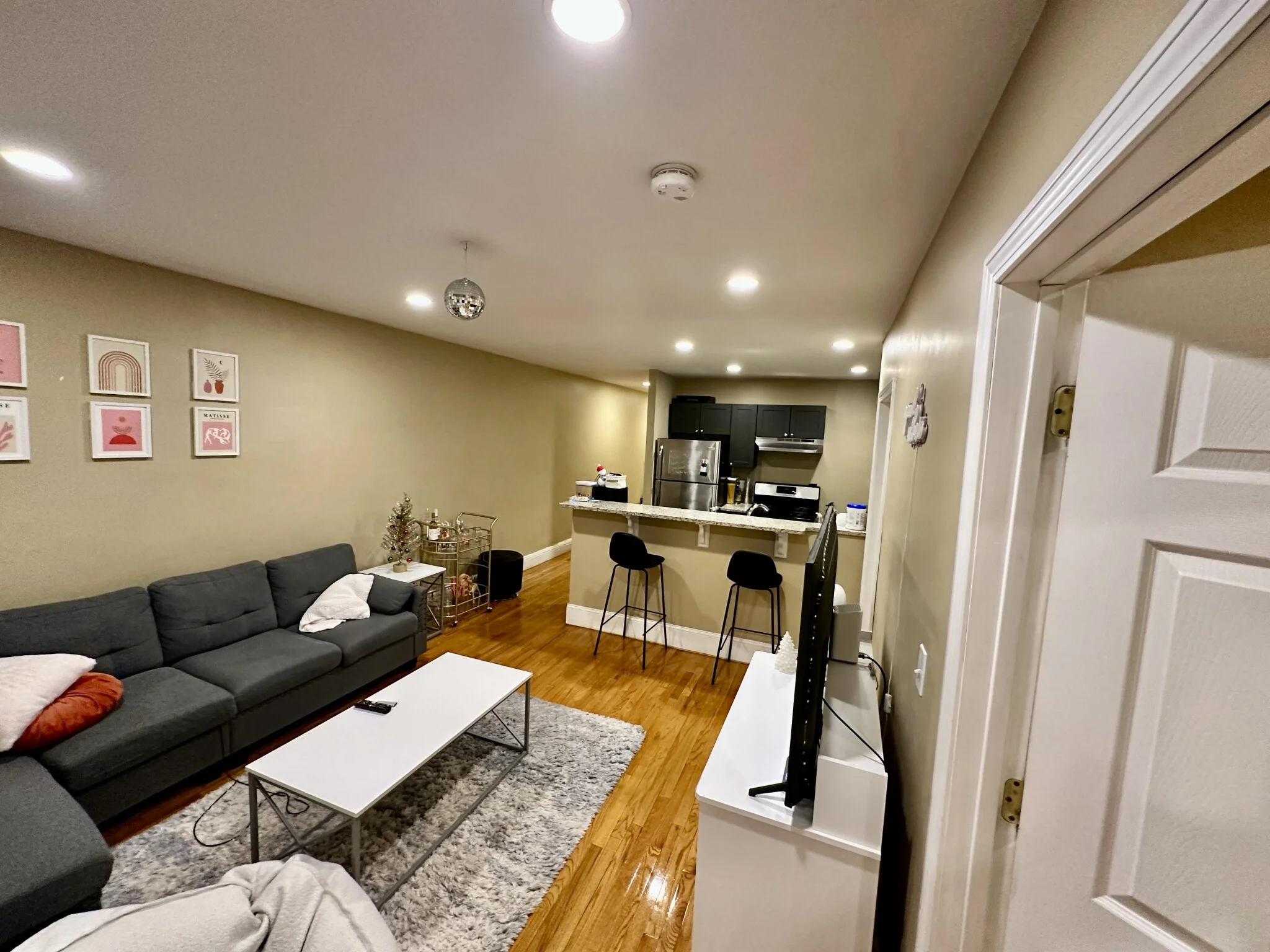 56 Egmont St, North Brookline