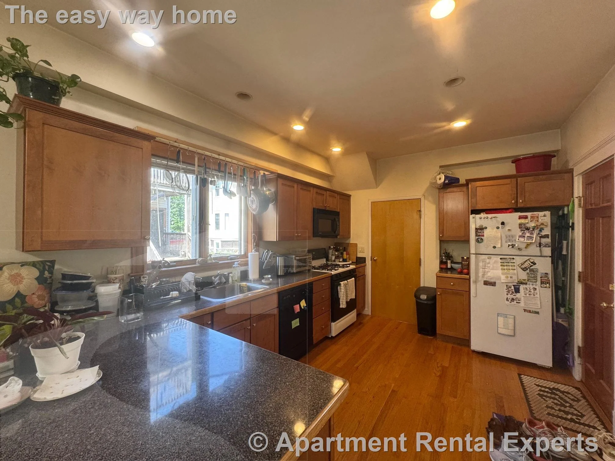 54R College Ave, Davis Square