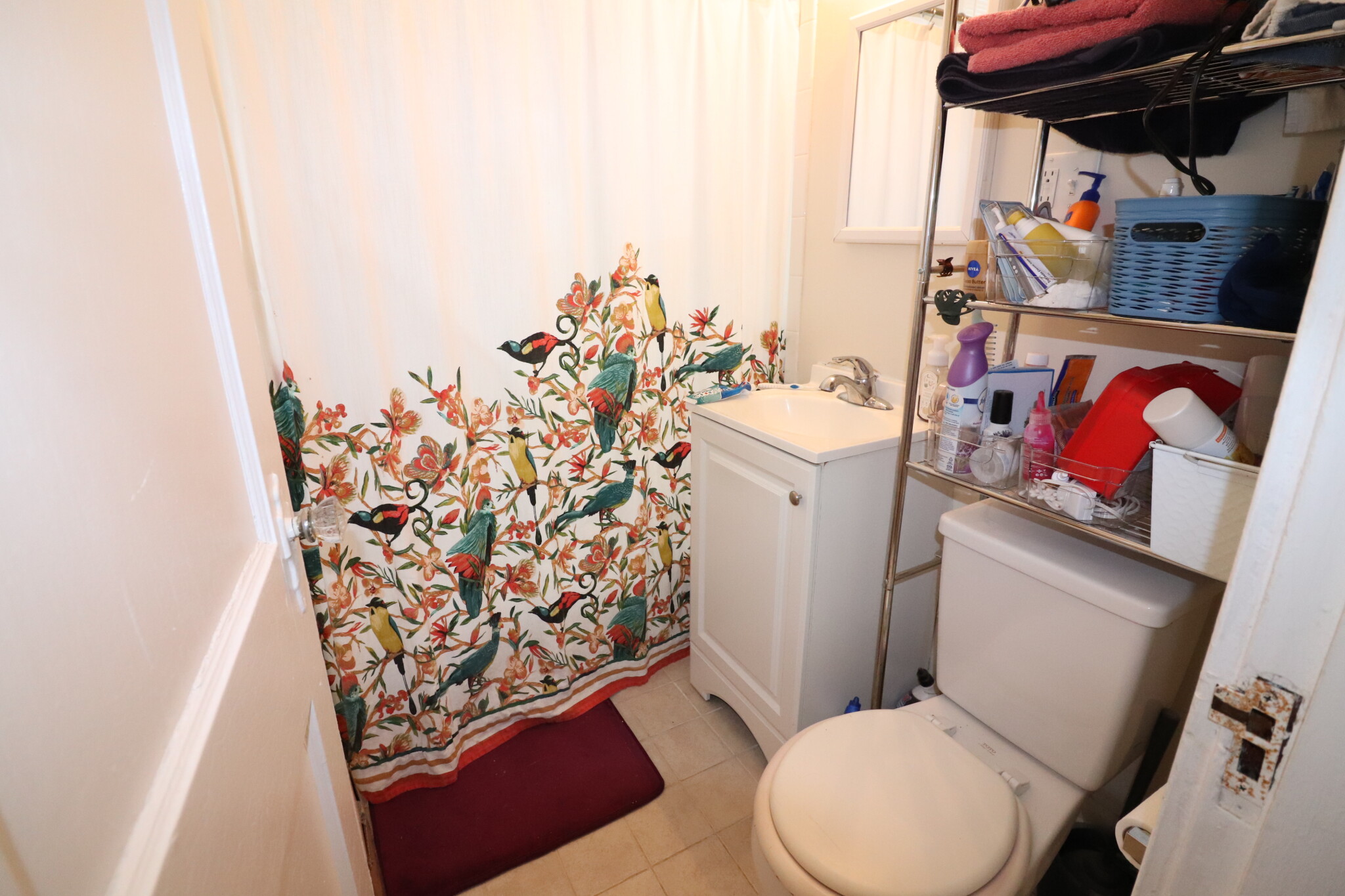 84 Sutherland Rd, Brighton