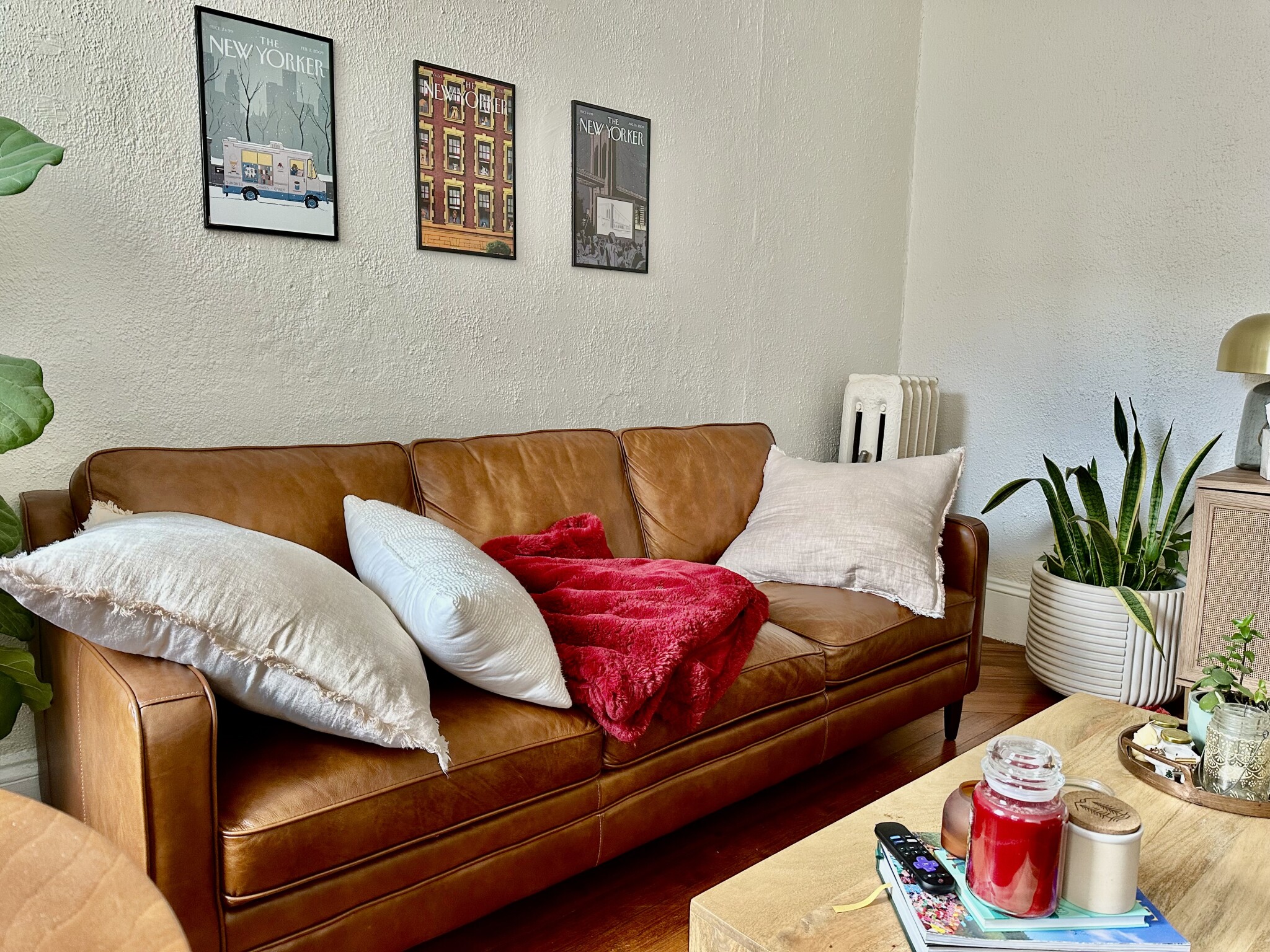 108 Myrtle St, Beacon Hill