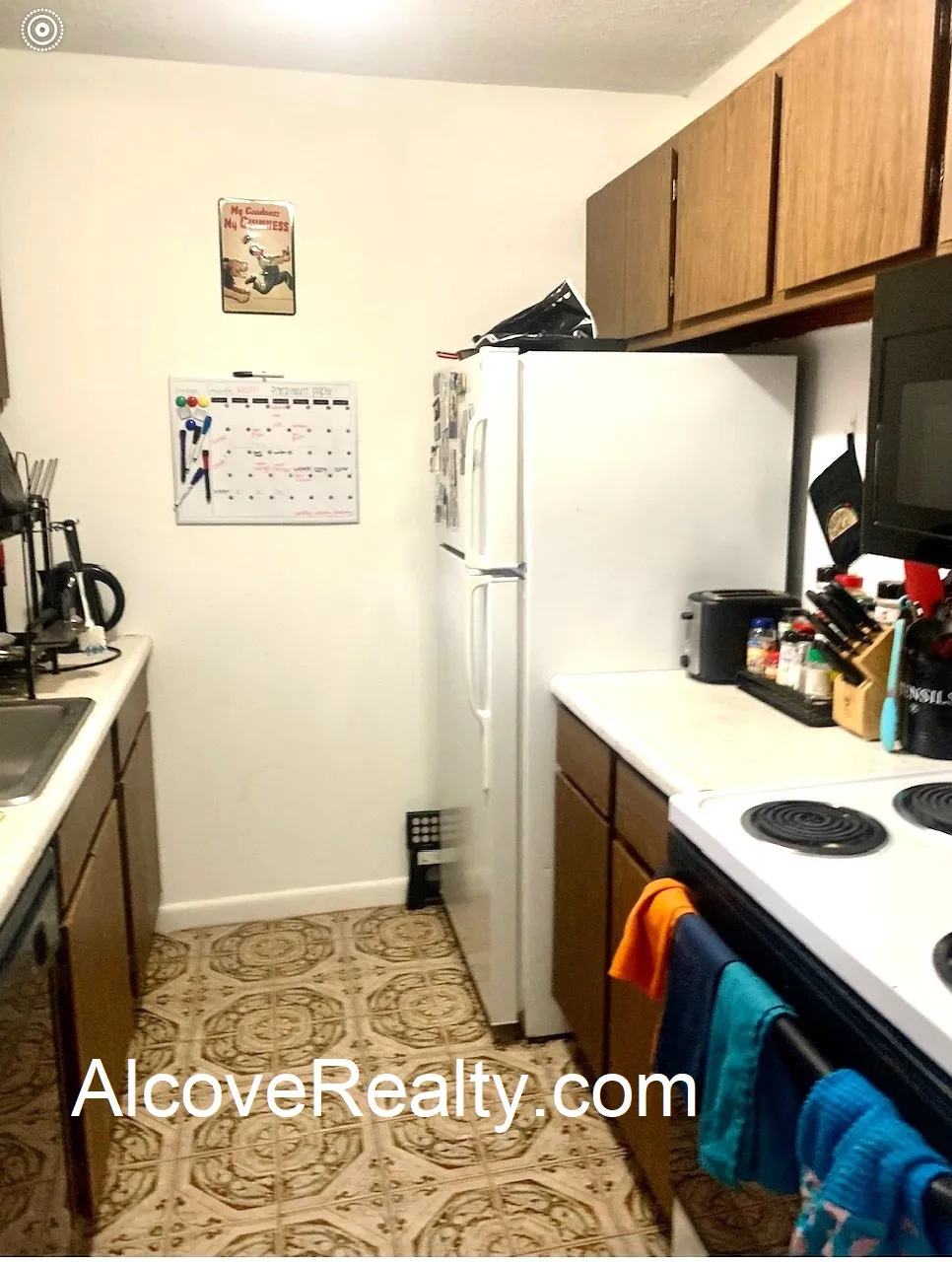 41 Belmont St, Spring Hill