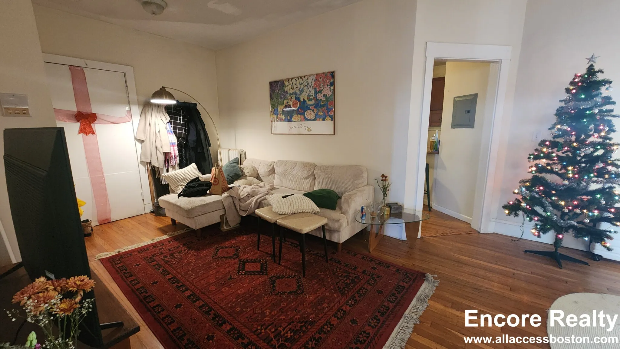 66 Egmont St, North Brookline