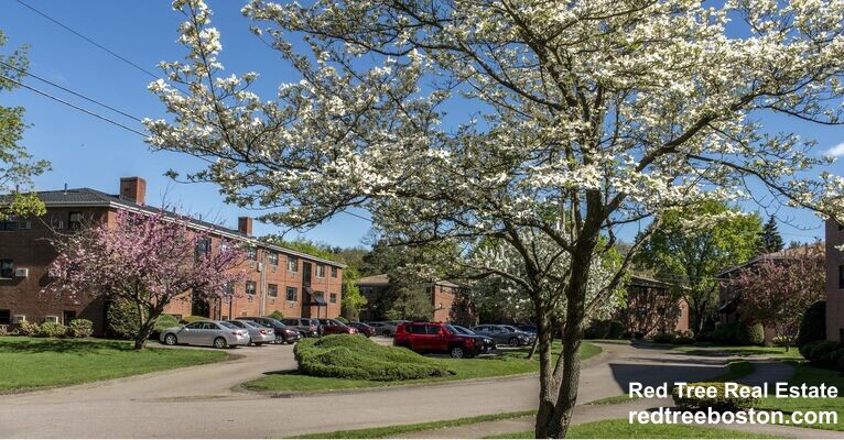 270 Grove St, Auburndale