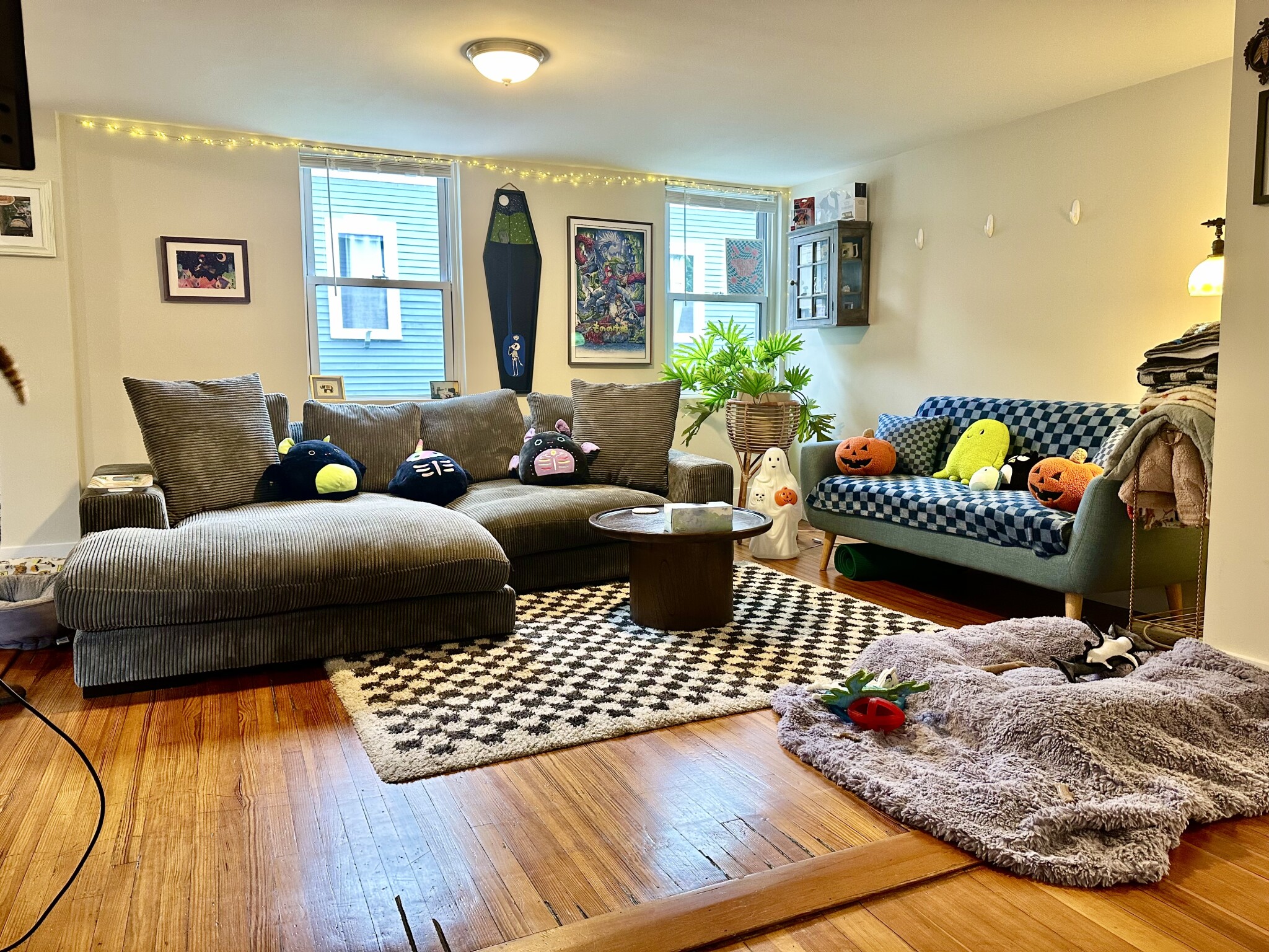 11 Forrester St, Salem