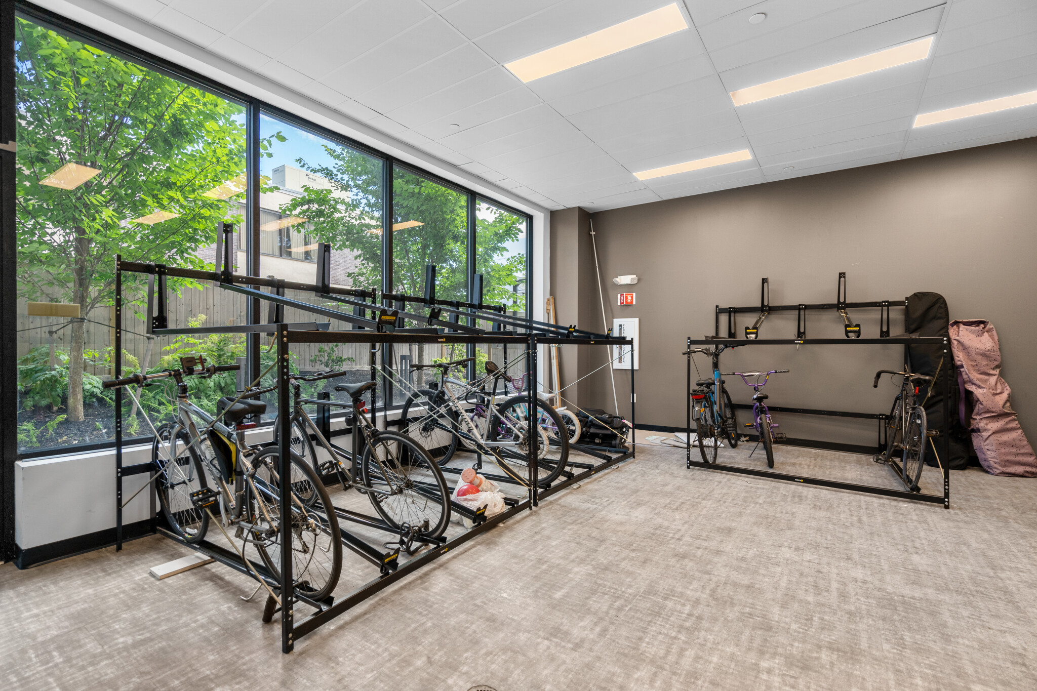 50 Leo M Birmingham Pkwa, Brighton