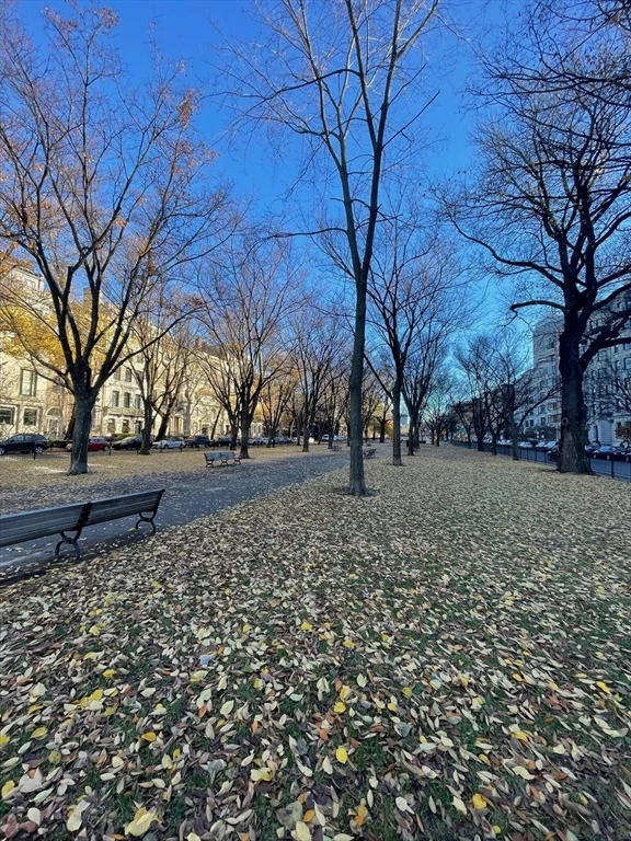 416 Commonwealth Ave, Back Bay