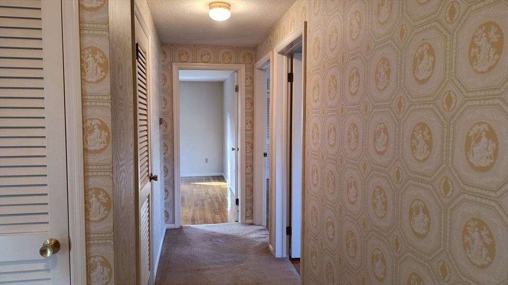 6 Streeter Rd, Paxton