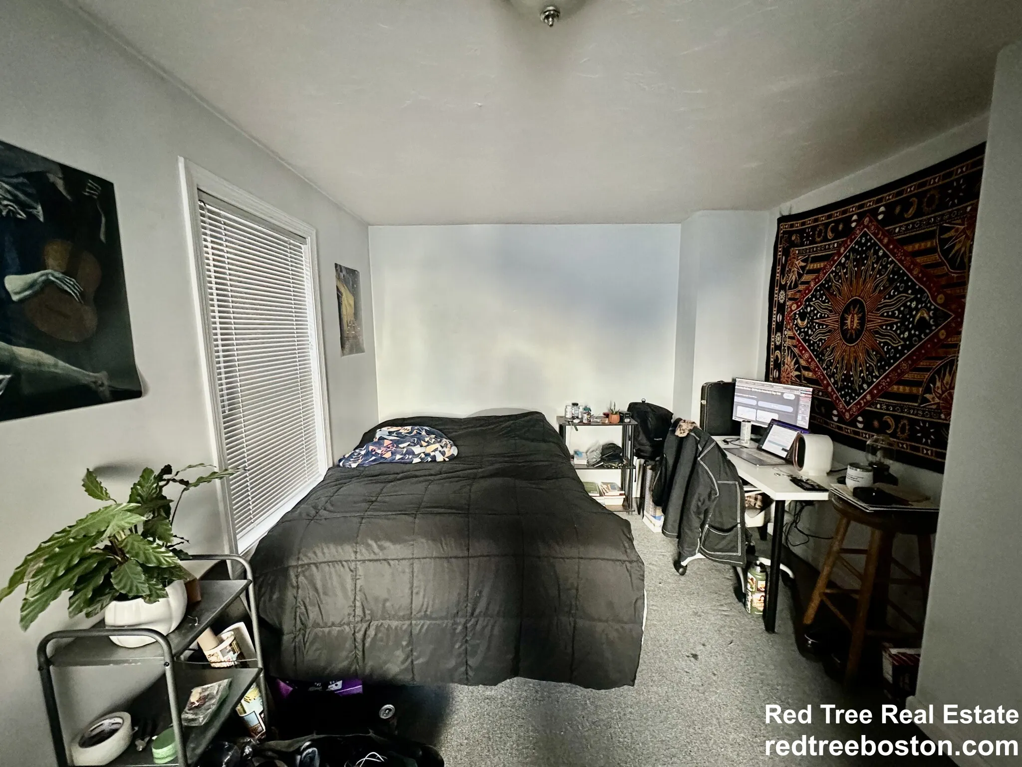 24 Lawn St, Mission Hill