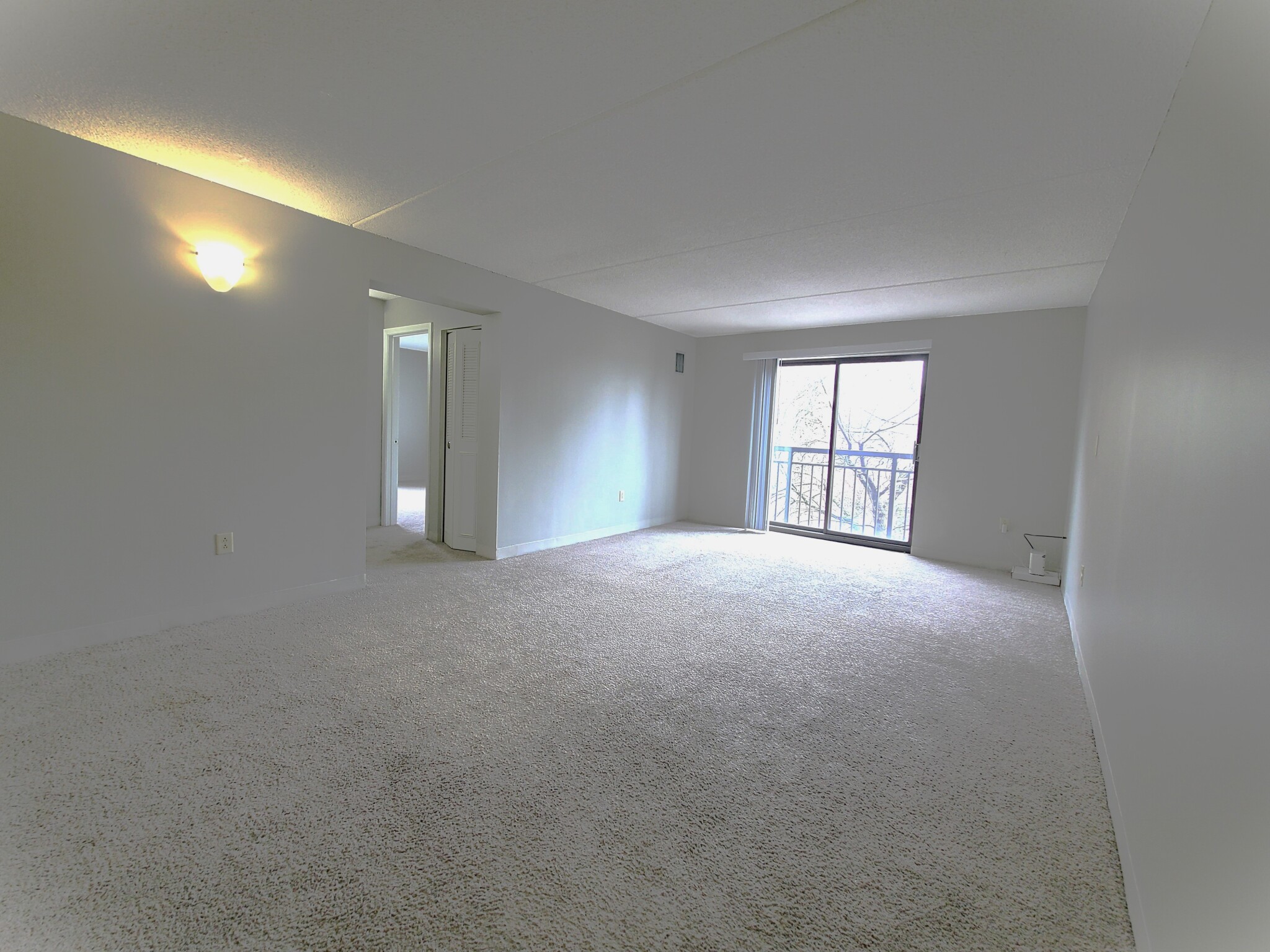 65 North Point Dr, Dorchester