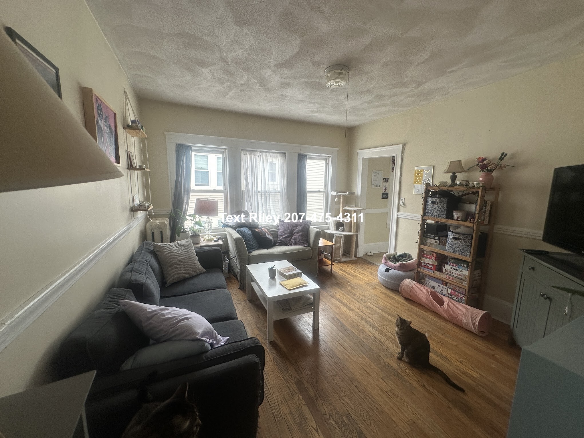 97 Kilsyth Rd, Brighton