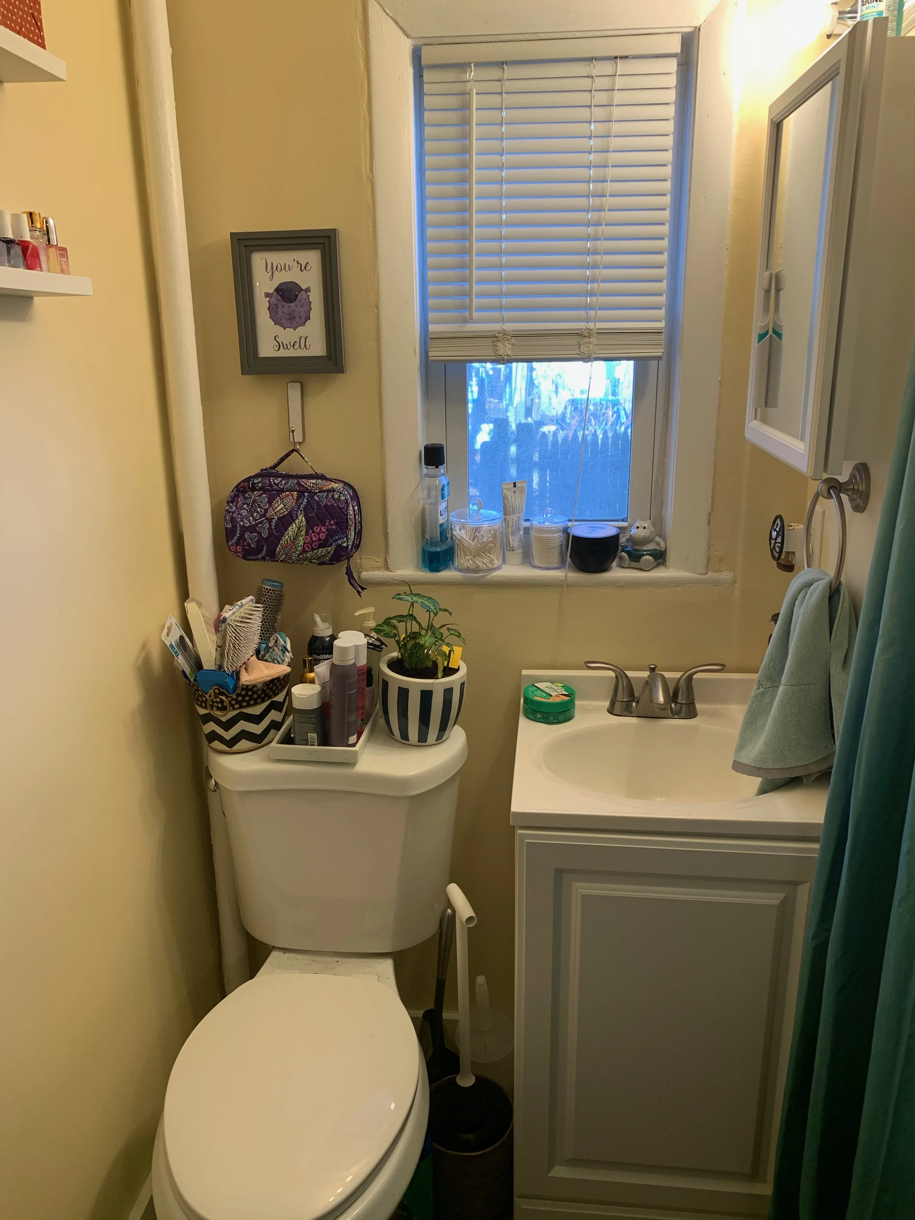 5 Blake St, North Cambridge