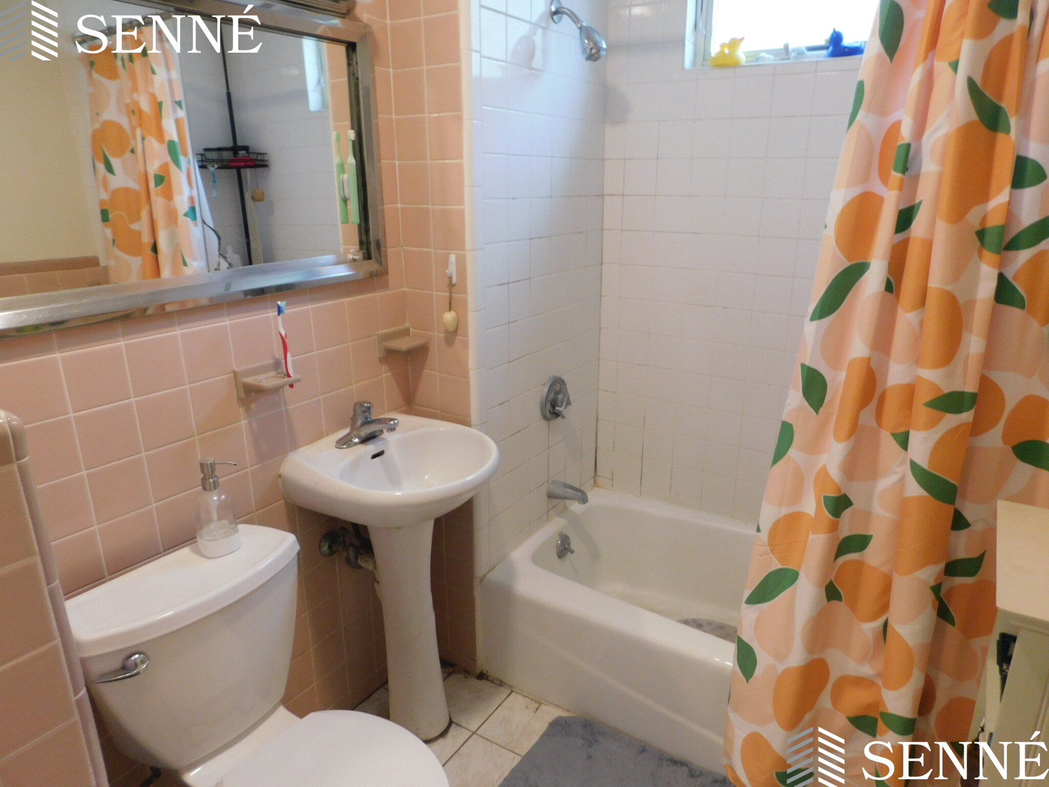 142 Dudley St, North Cambridge