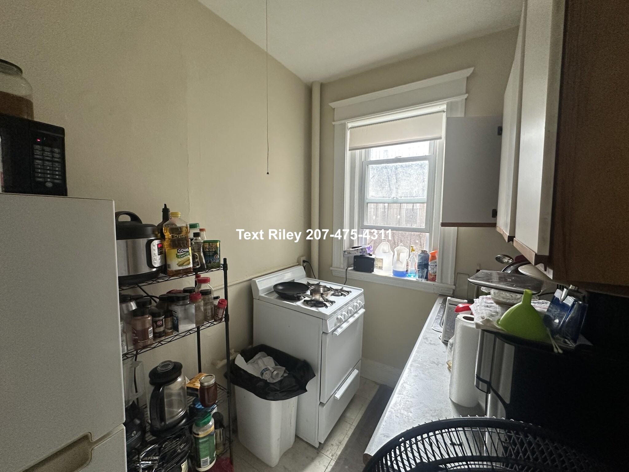 60 Woodstock Ave, Brighton