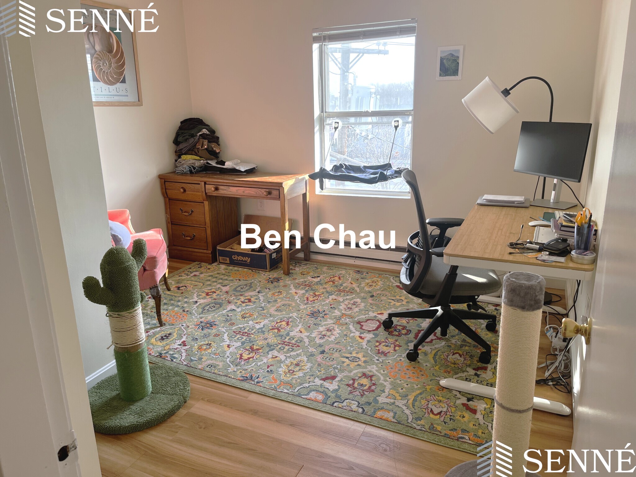 5 Elm St, Spring Hill