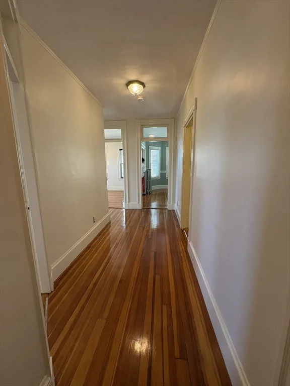 62 Ibbetson St, Davis Square