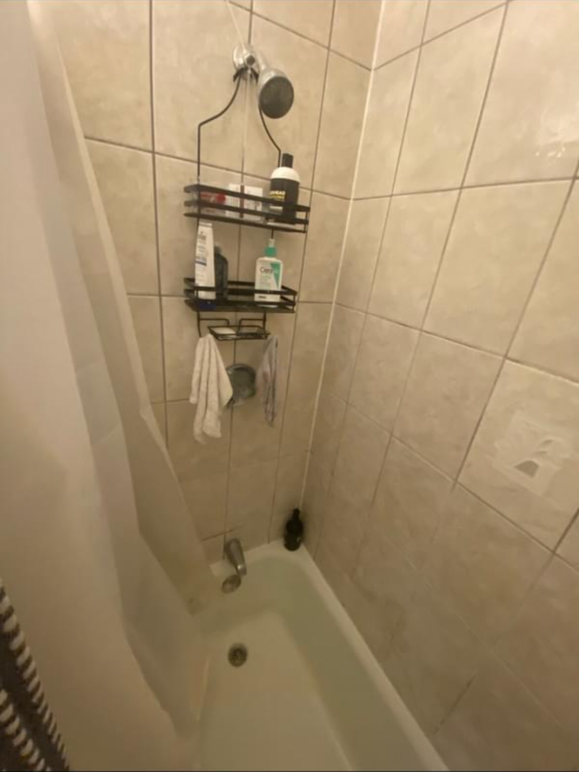 103 Sciarappa St, East Cambridge