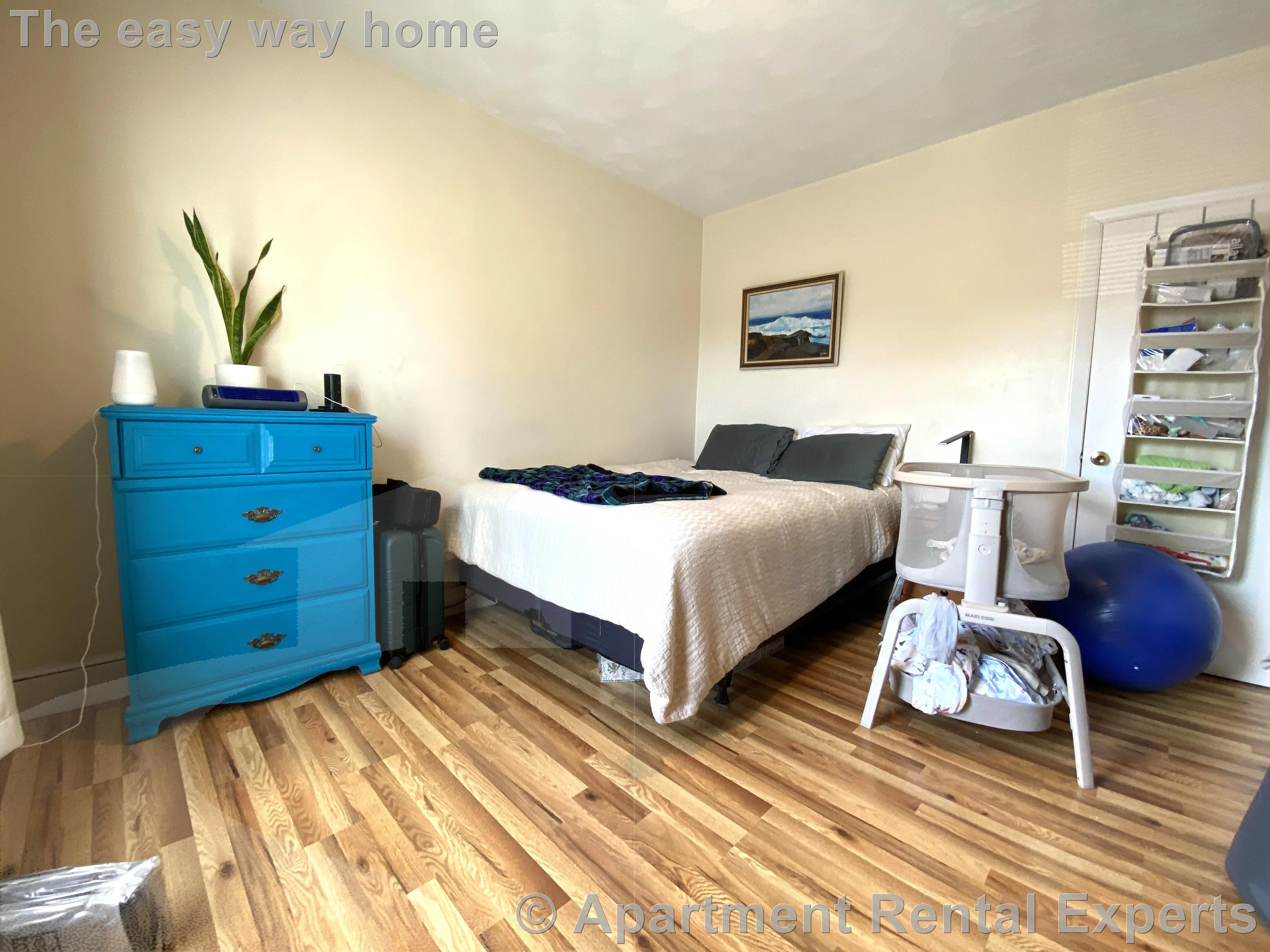 57 Bishop Allen Dr, Central Square