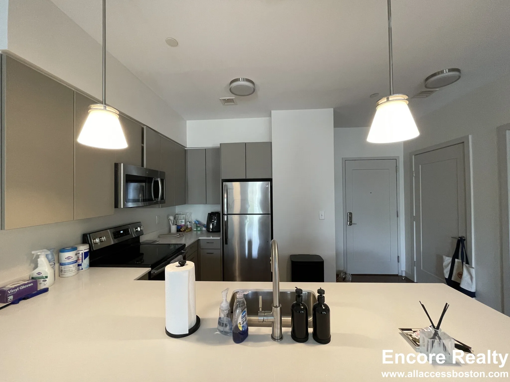 455 Harvard St, North Brookline