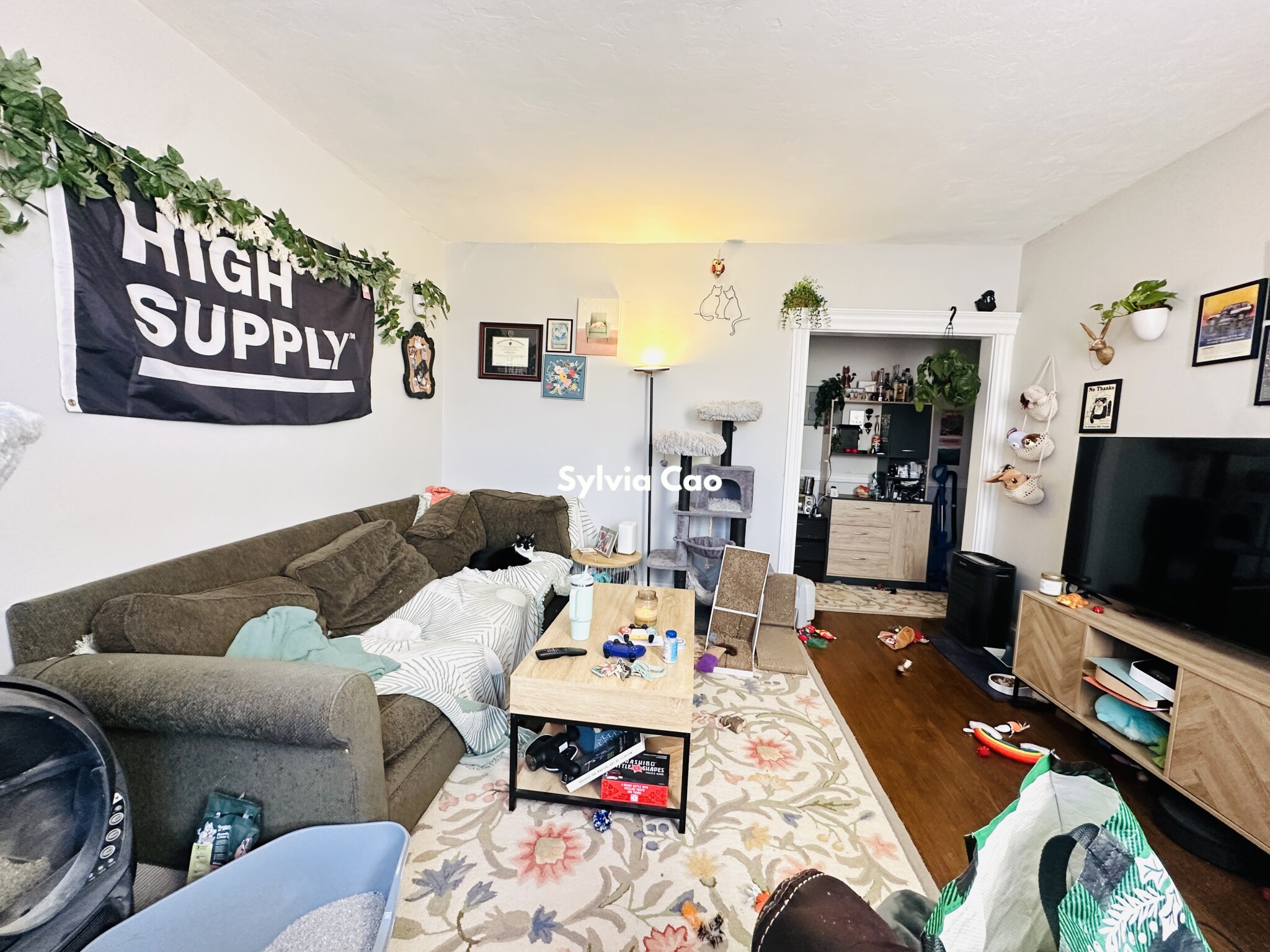 368 Riverway, Mission Hill