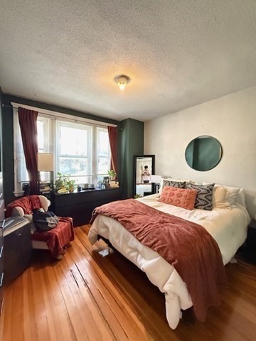 256 Corey Rd, Brighton