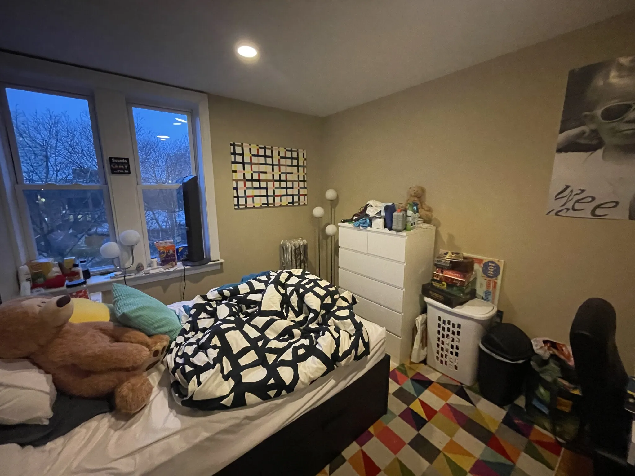 76 Egmont St, North Brookline