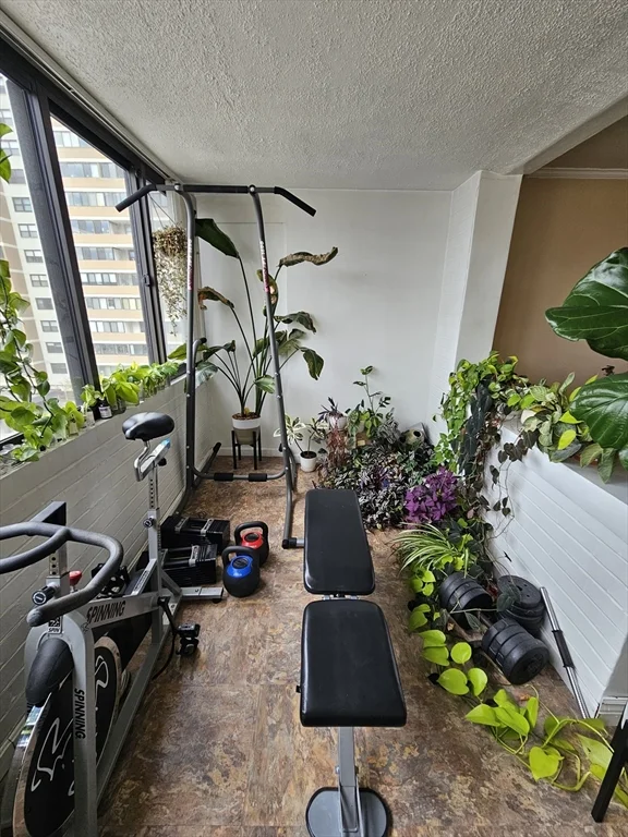 8 Whittier Pl, West End