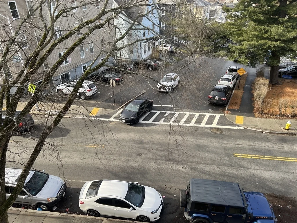 61 Vernon St, New Worcester