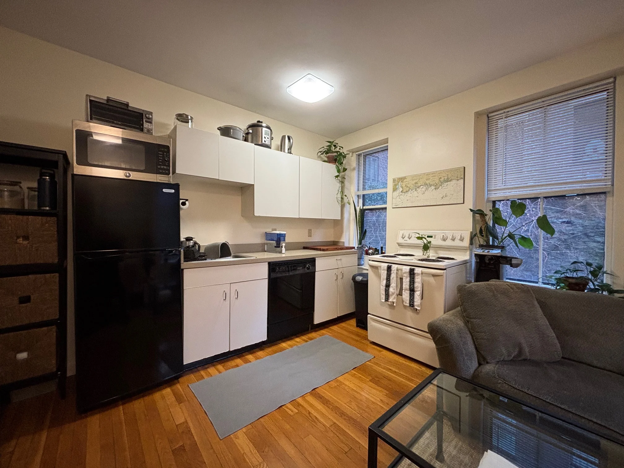 68 Myrtle St, Beacon Hill