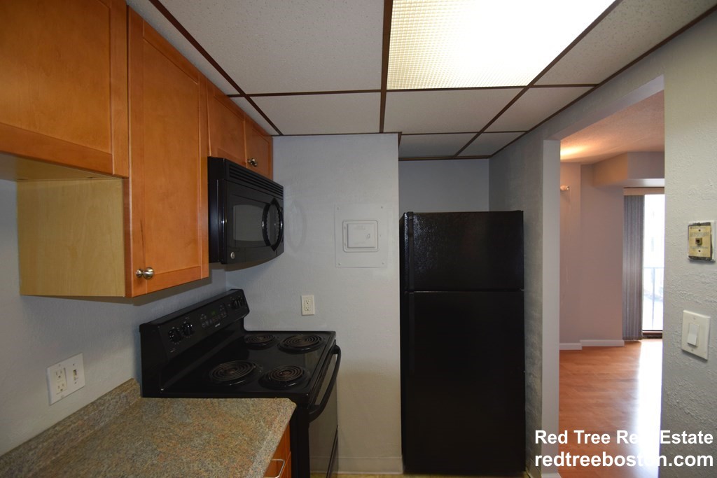 1243 Beacon St, Coolidge Corner South Side