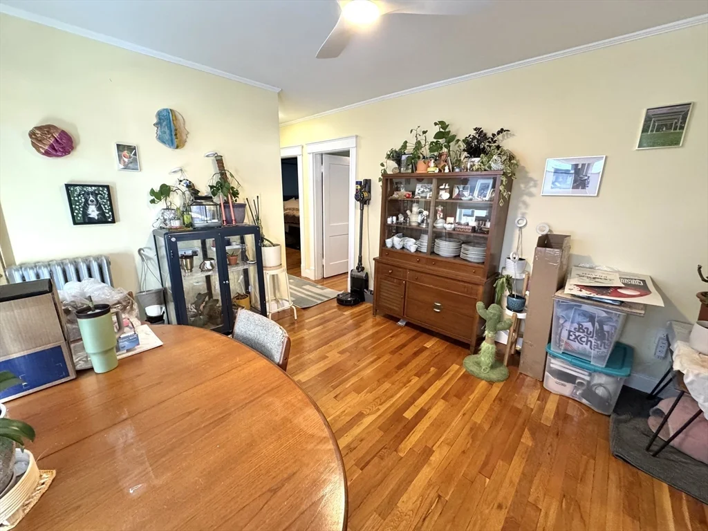 66 Marshall St, Medford