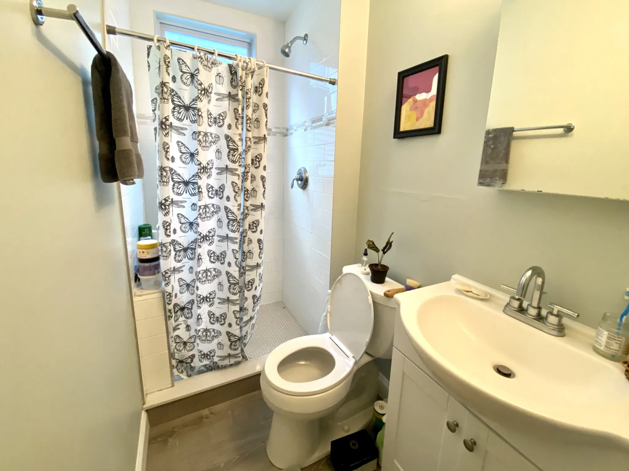 3 Oswald St, Mission Hill