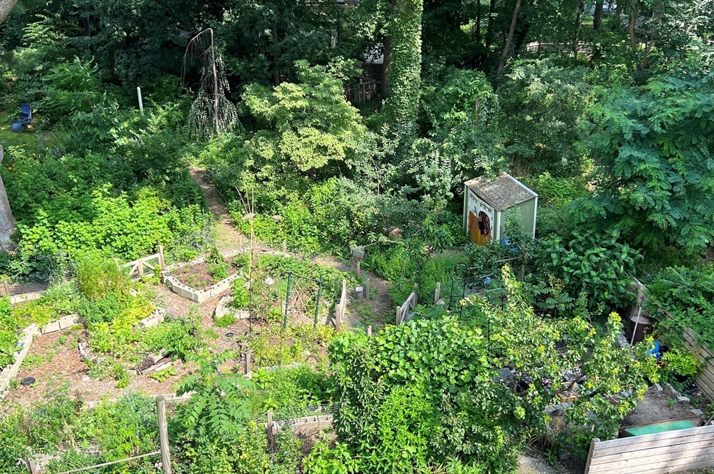 44 Rockview St, Jamaica Plain