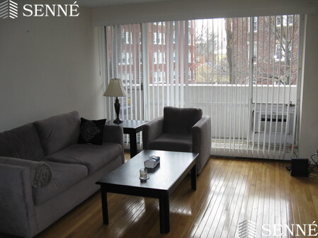 29 Concord Ave, Neighborhood Nine