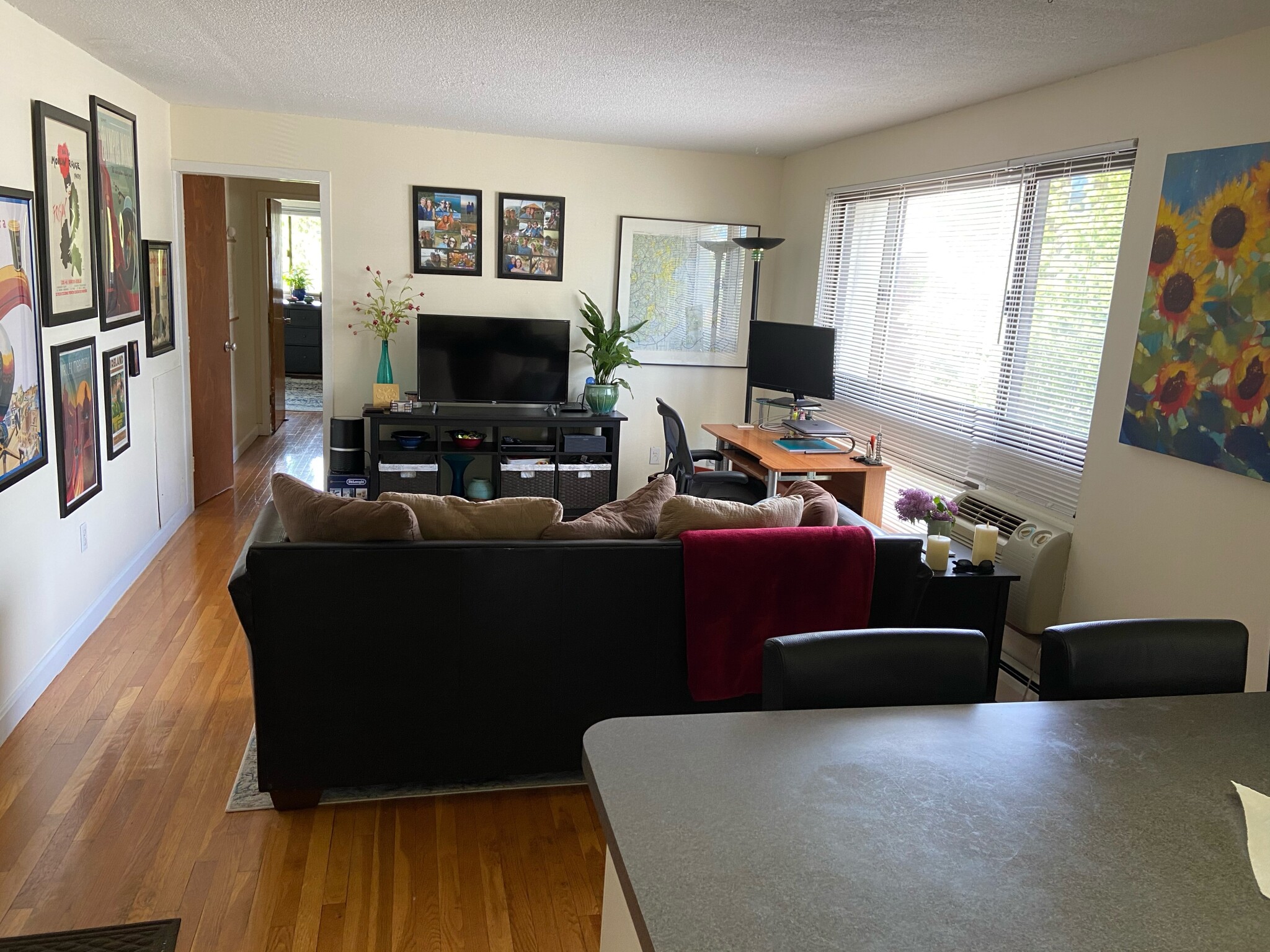 77 Trowbridge St, Mid-Cambridge