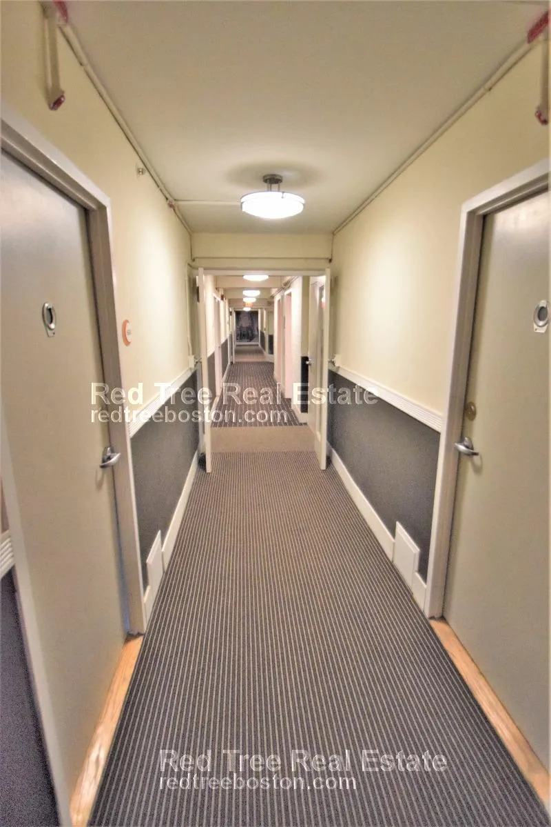 1440 Beacon St, Corey Hill