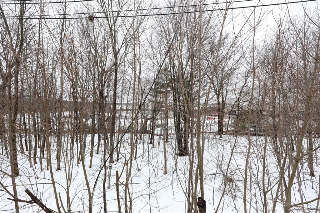 65 Clifford St, Hyde Park