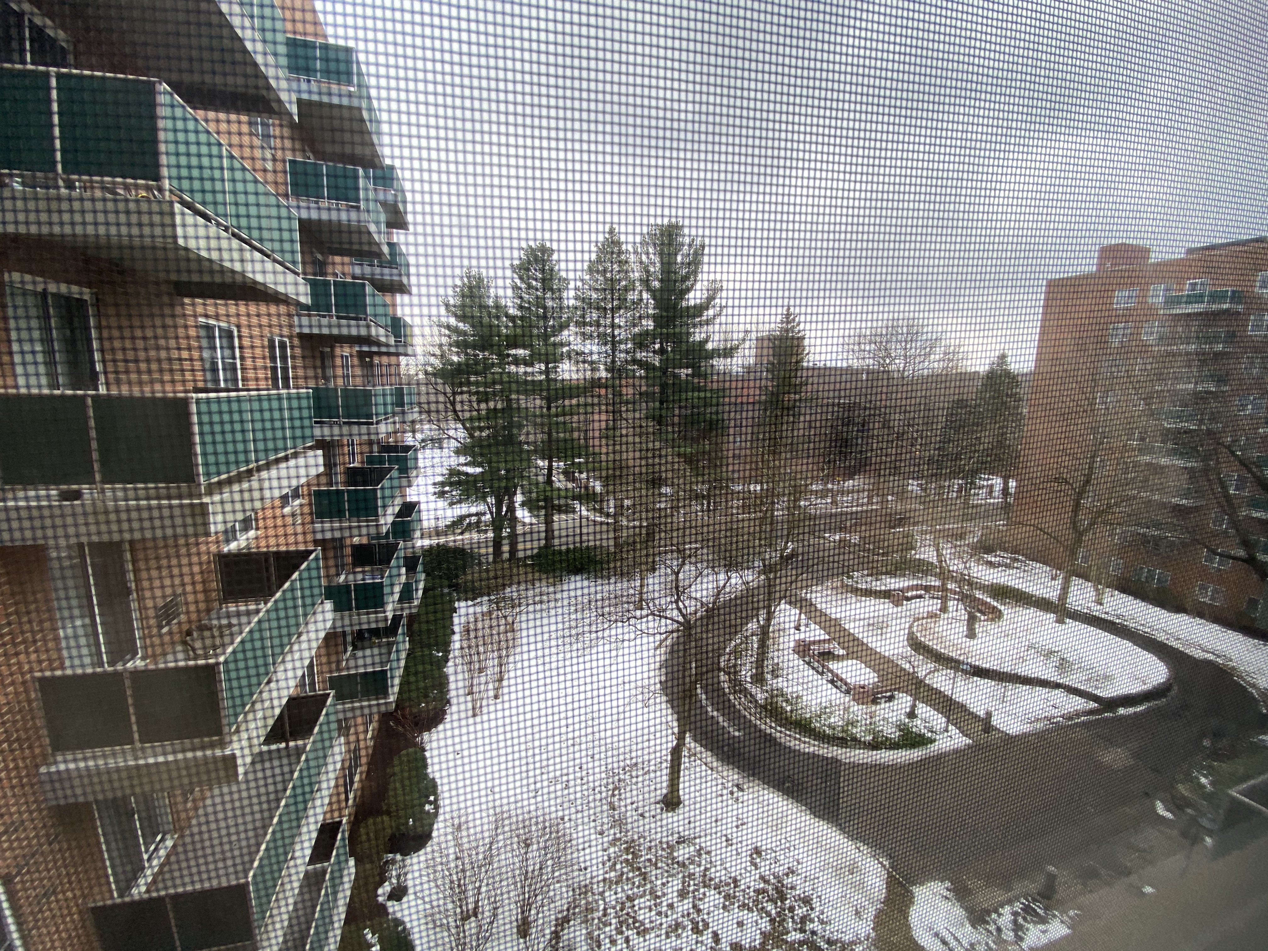 1 bed, 1 bath apartment for rent at 175 Freeman St Unit 214, Longwood — photo 5 of 7
