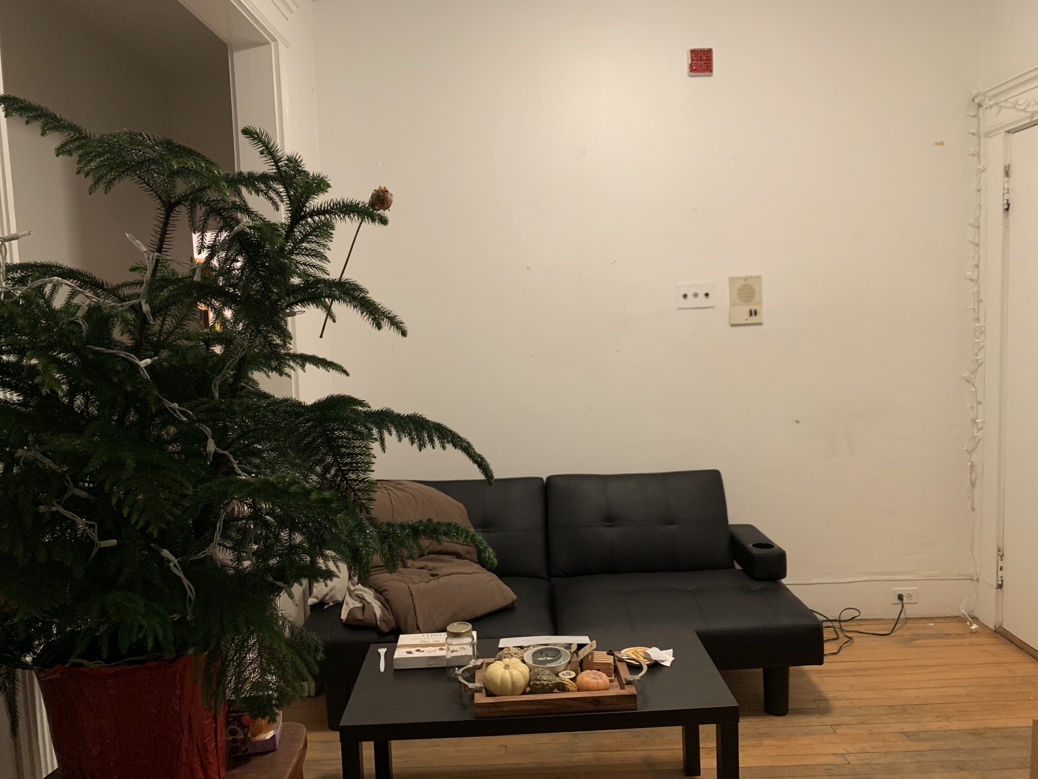 2.5 bed, 1 bath apartment for rent at 5 Spofford Rd Unit 6..., Allston