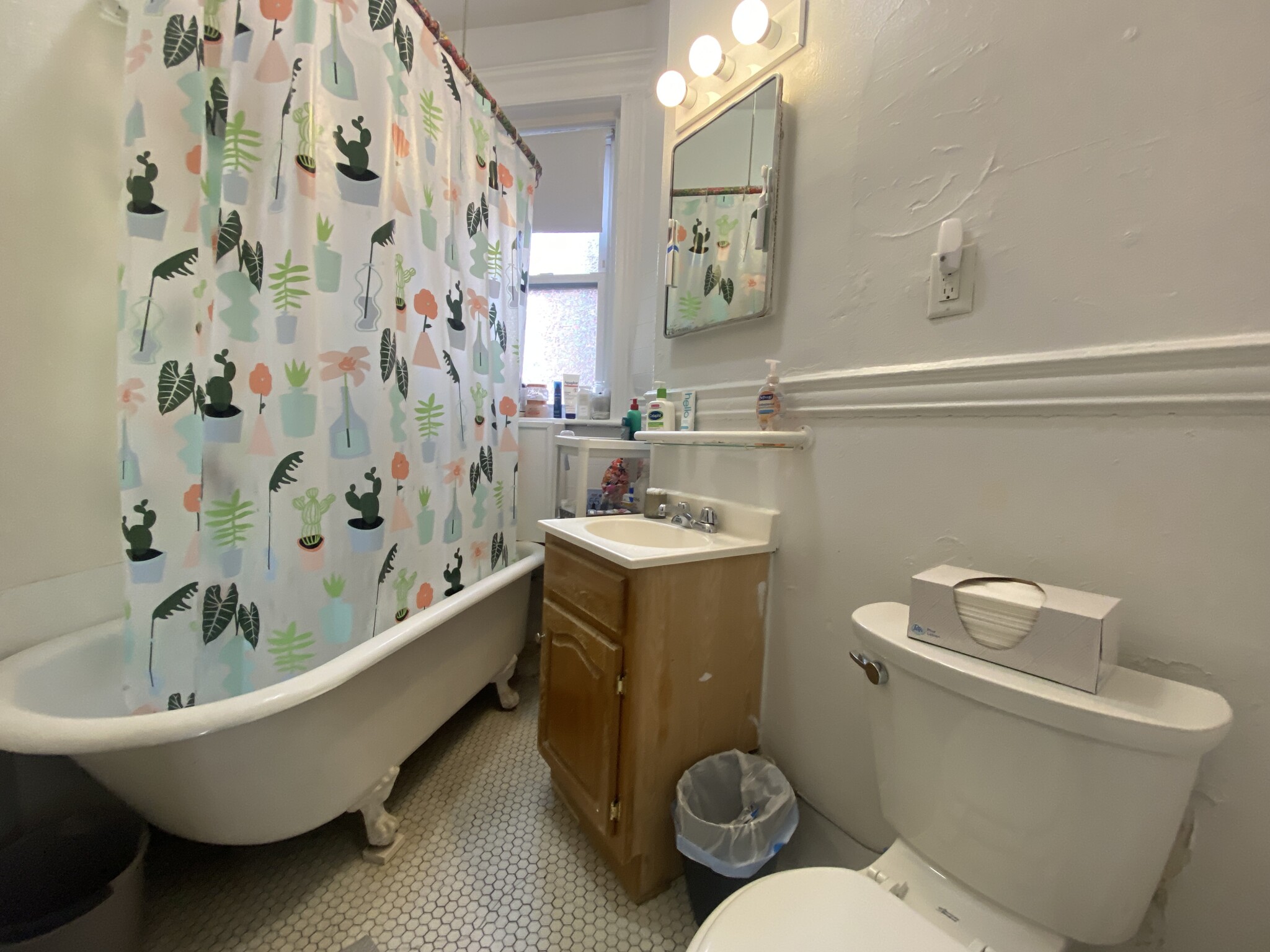 1 bed, 1 bath apartment for rent at 5 Walbridge St Unit 18, Allston — photo 3 of 3