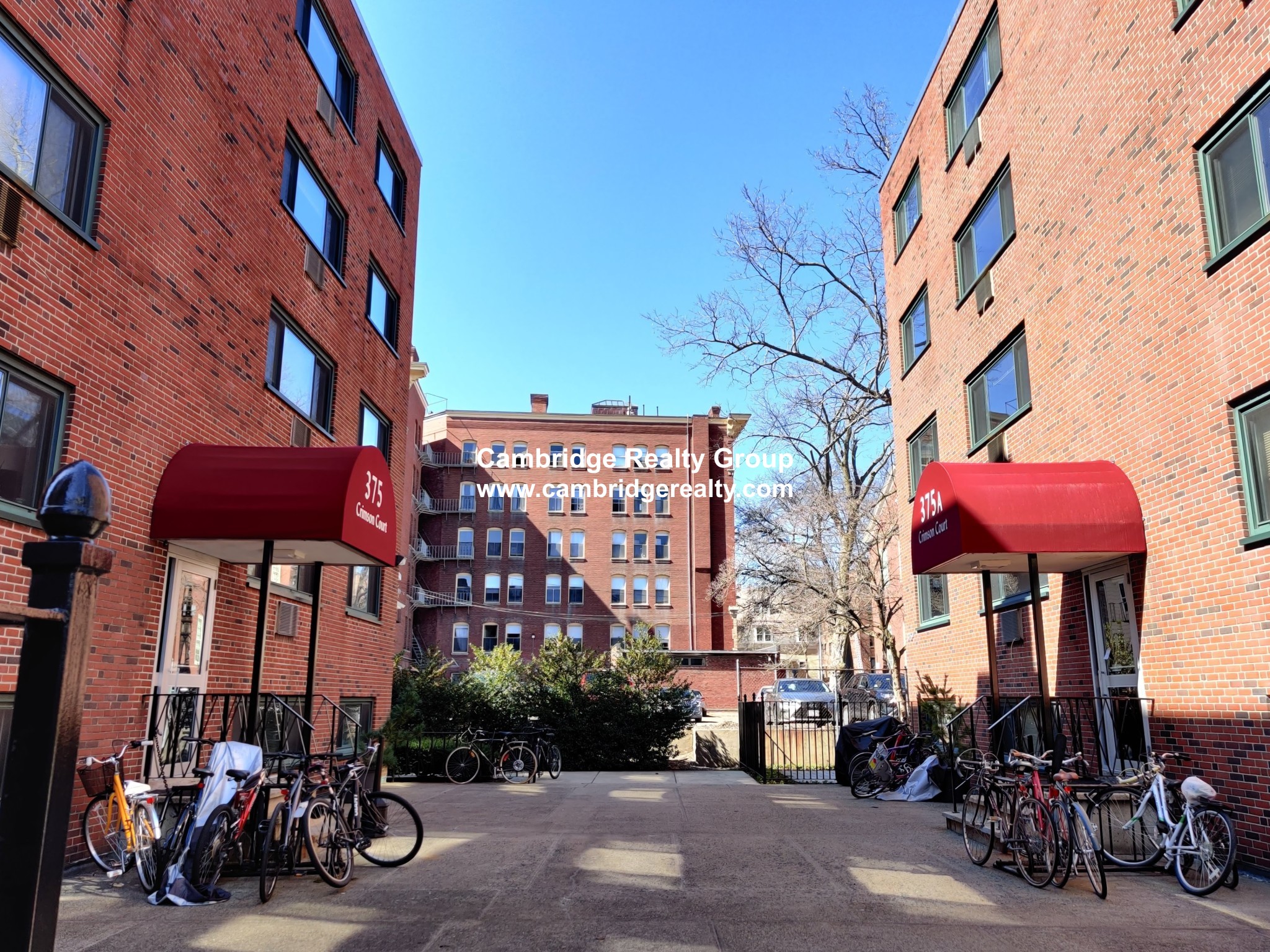 1 bed, 1 bath apartment for rent at 375 Harvard St Unit 3A, Harvard Square — photo 5 of 10